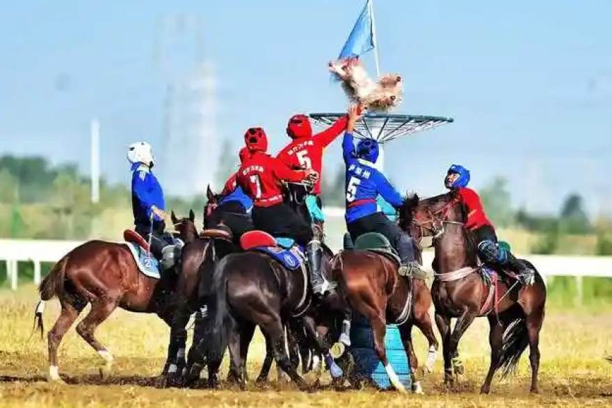 乐球吧 赛季中期观赛体验榜单：直播画质、数据同步与社区互动的取舍